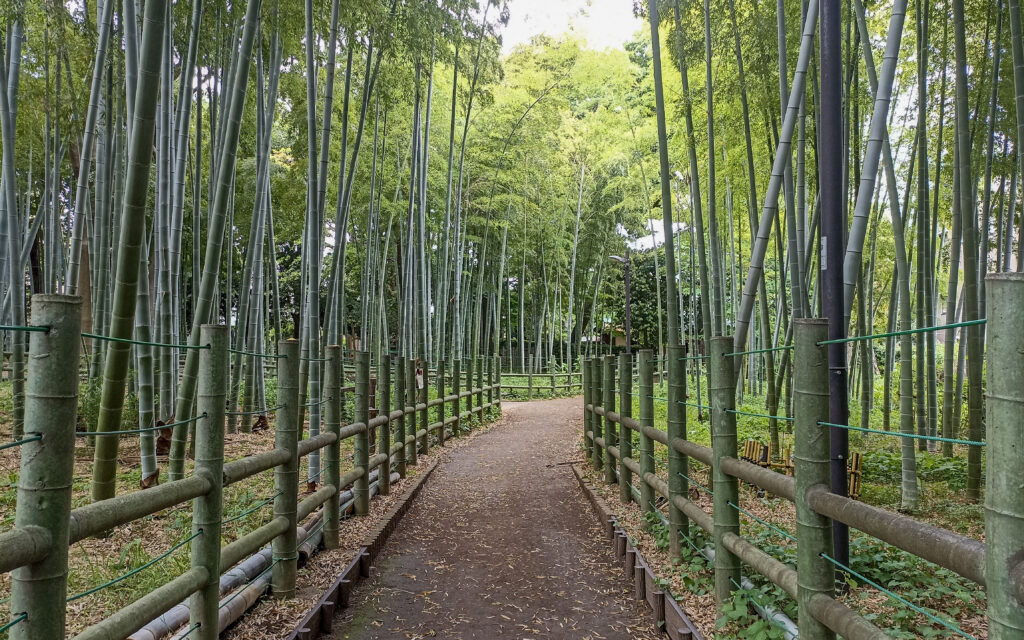 bambusový park Suzume no Yado Ryokuchi Park, Tokio