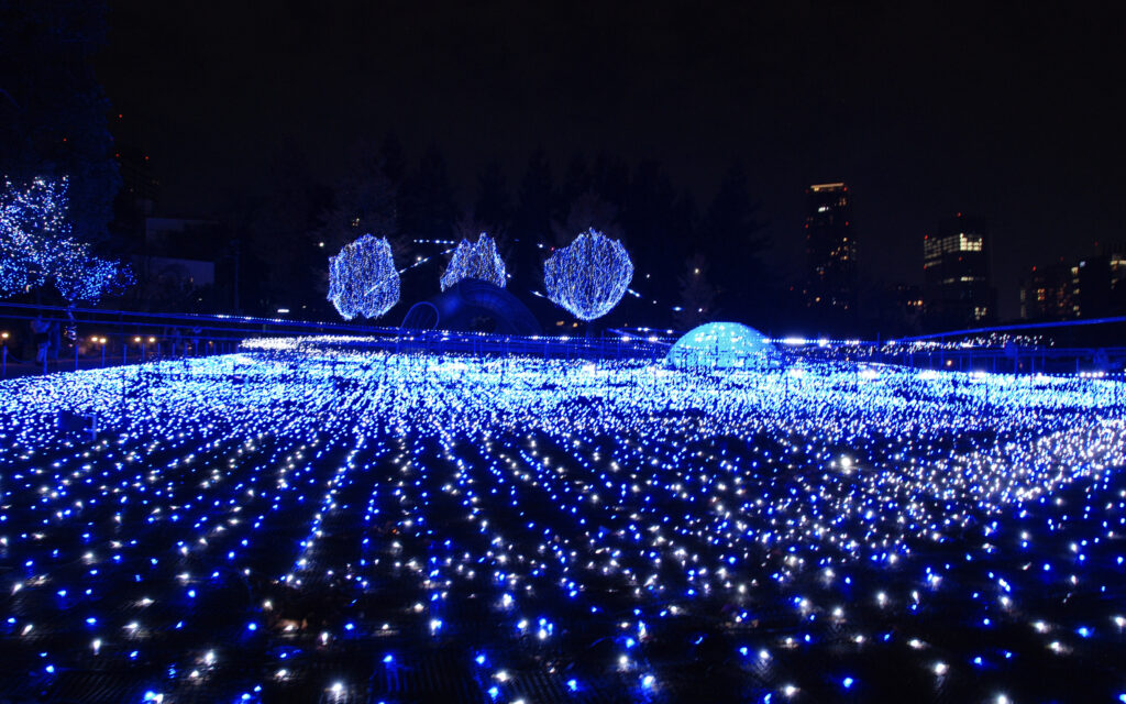 winter illuminations, tokio, japonsko
