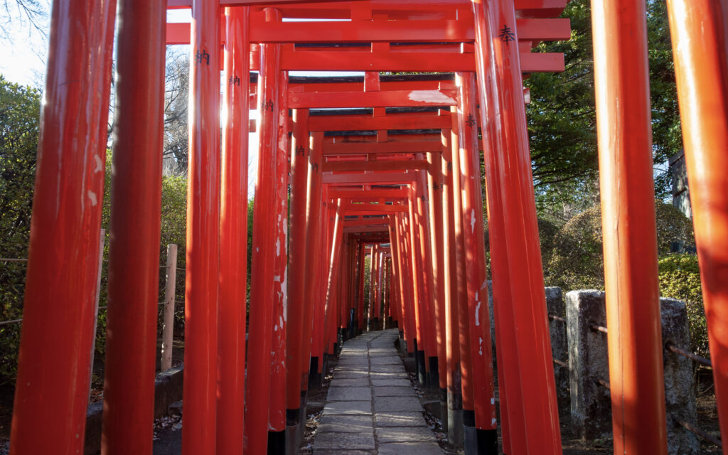 svatyně Nezu a Otome Inari, tunel brány torii, Tokio, Japonsko