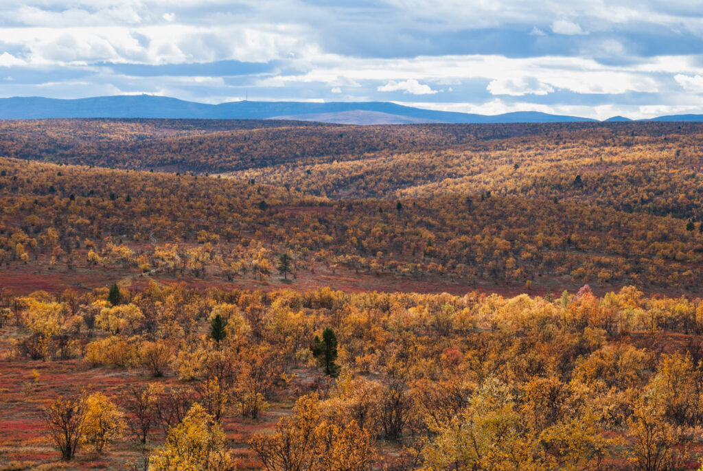 podzim, Finnmark, Norsko