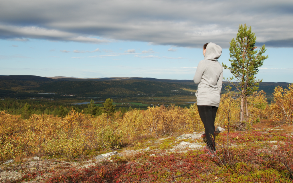 proč se učím norsky