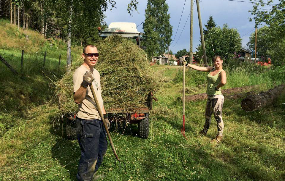 práce v Norsku na farmě