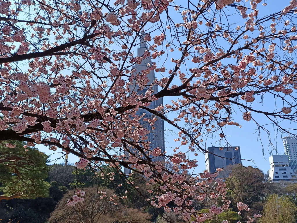 Shinjuku Gyoen Nationa Garden Tokio