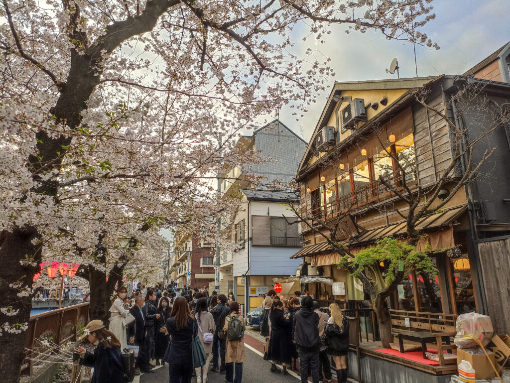 Hanami, Tokio