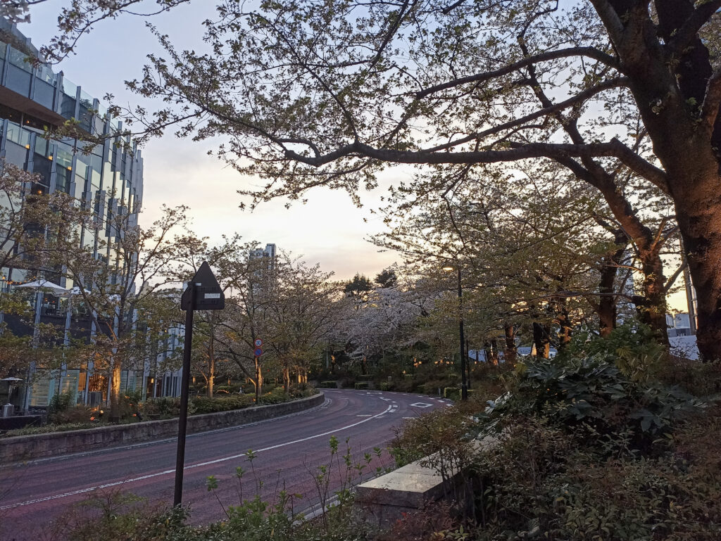 Tokyo Midtown Roppongi sakury