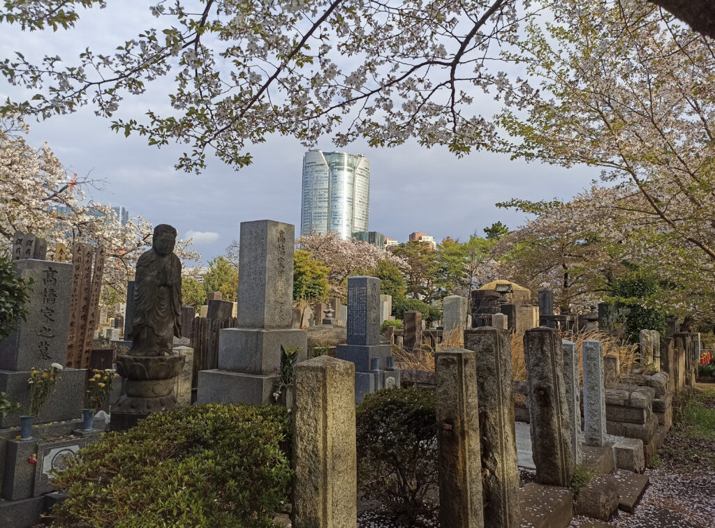 aoyama cemetery, tokyo