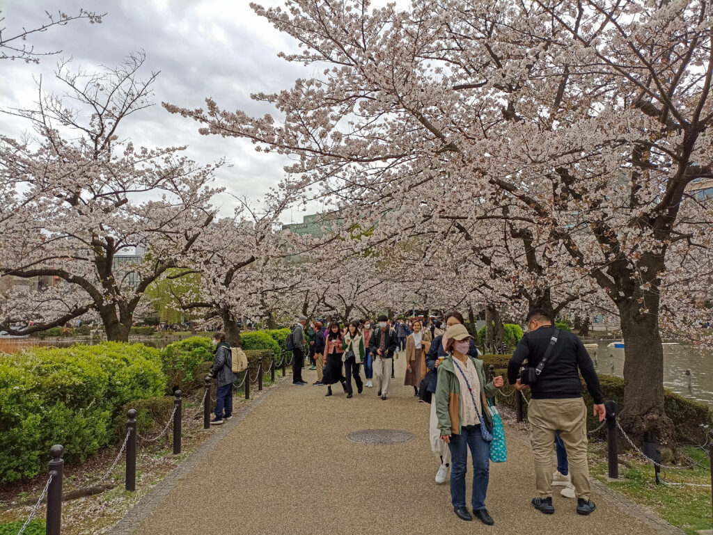 sakury Ueno park Tokio
