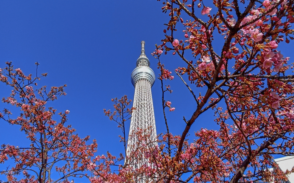 Tokyo Skytree na jaře