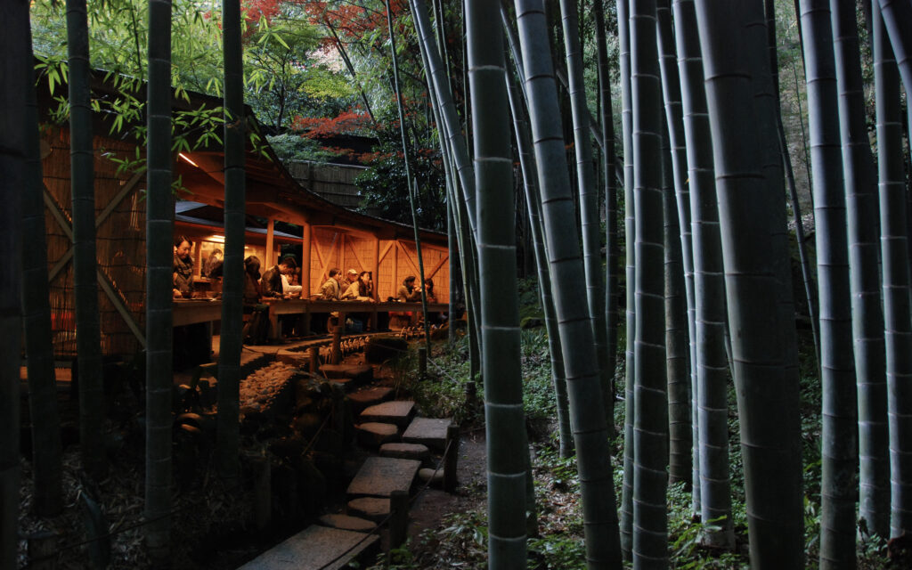 bambusový les Kamakura, Japonsko