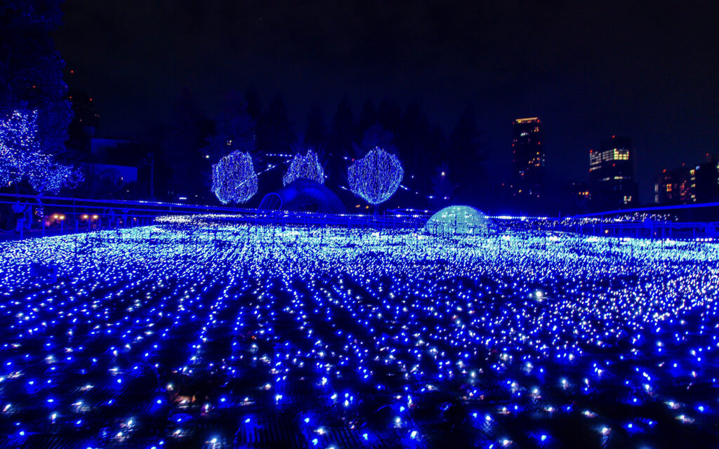 Tokio winter illuminations