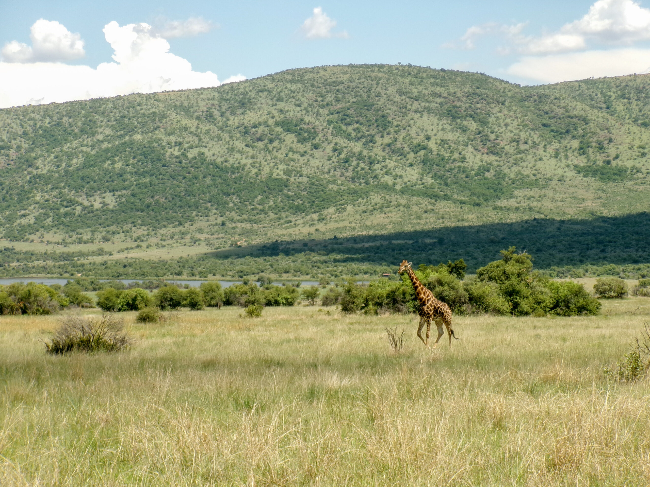 národní park Pilanesberg, Jihoafrická republika